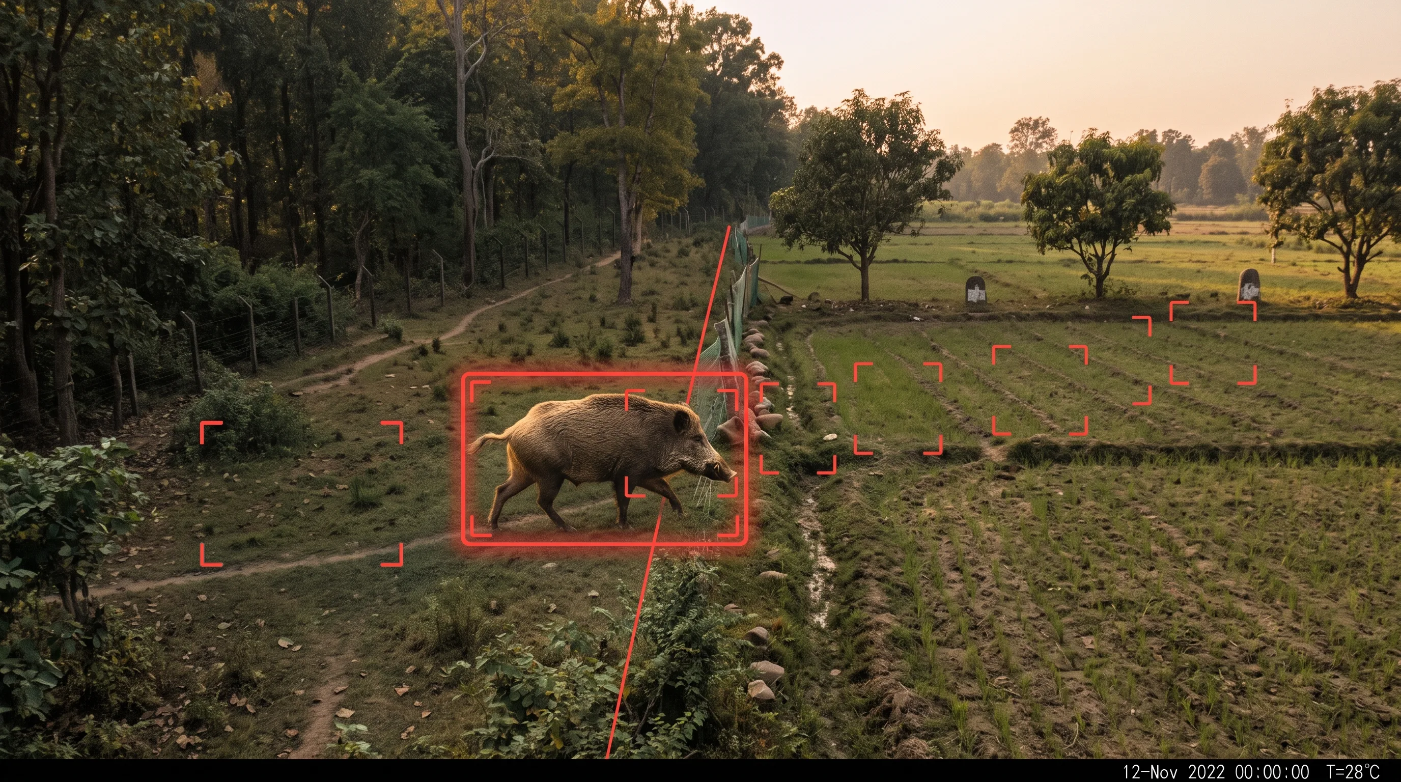 Boundary and forest-edge intrusion detection for a farm