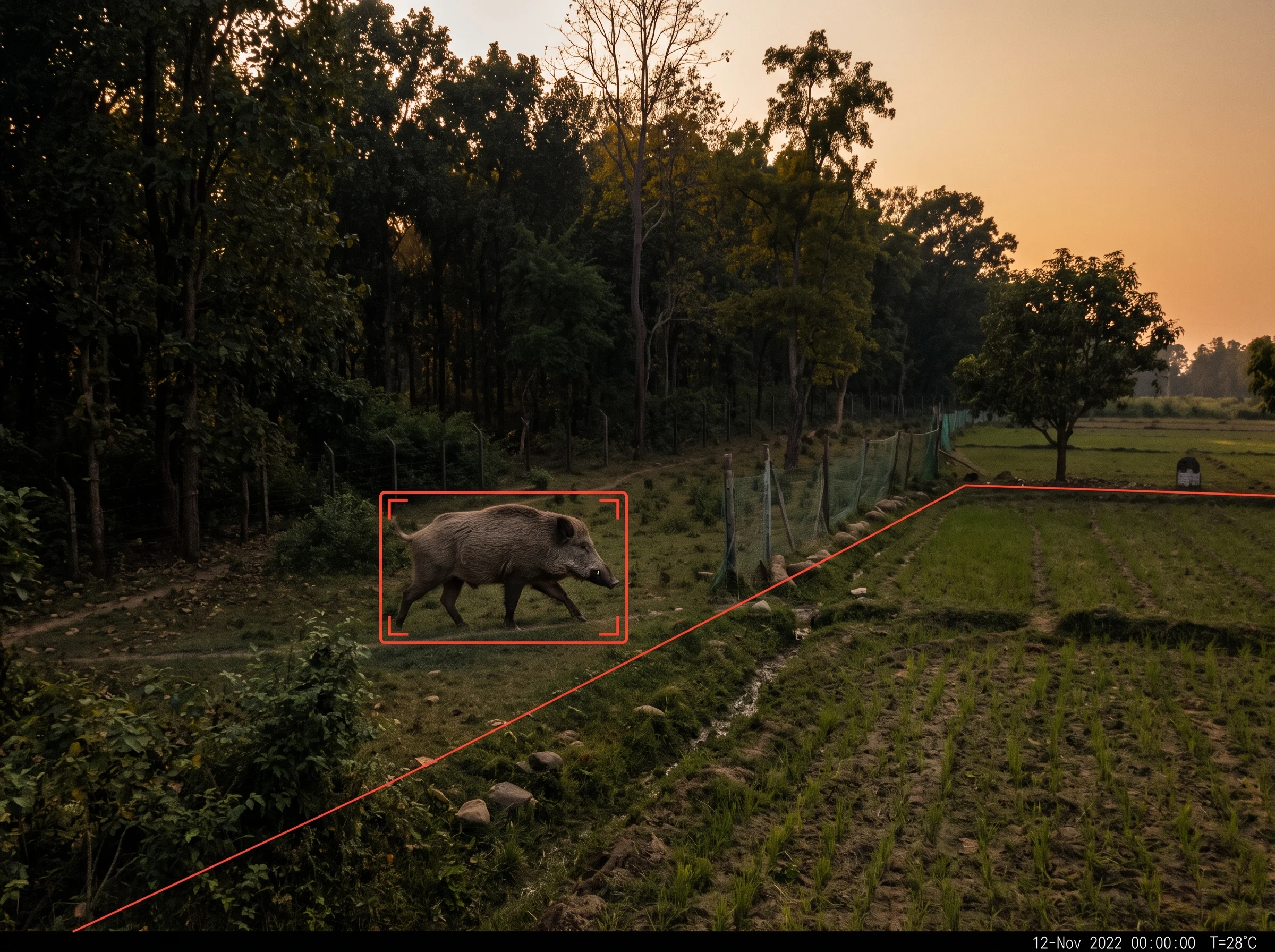Wild animal detection alerting a farmer to wild boar at a crop-field boundary