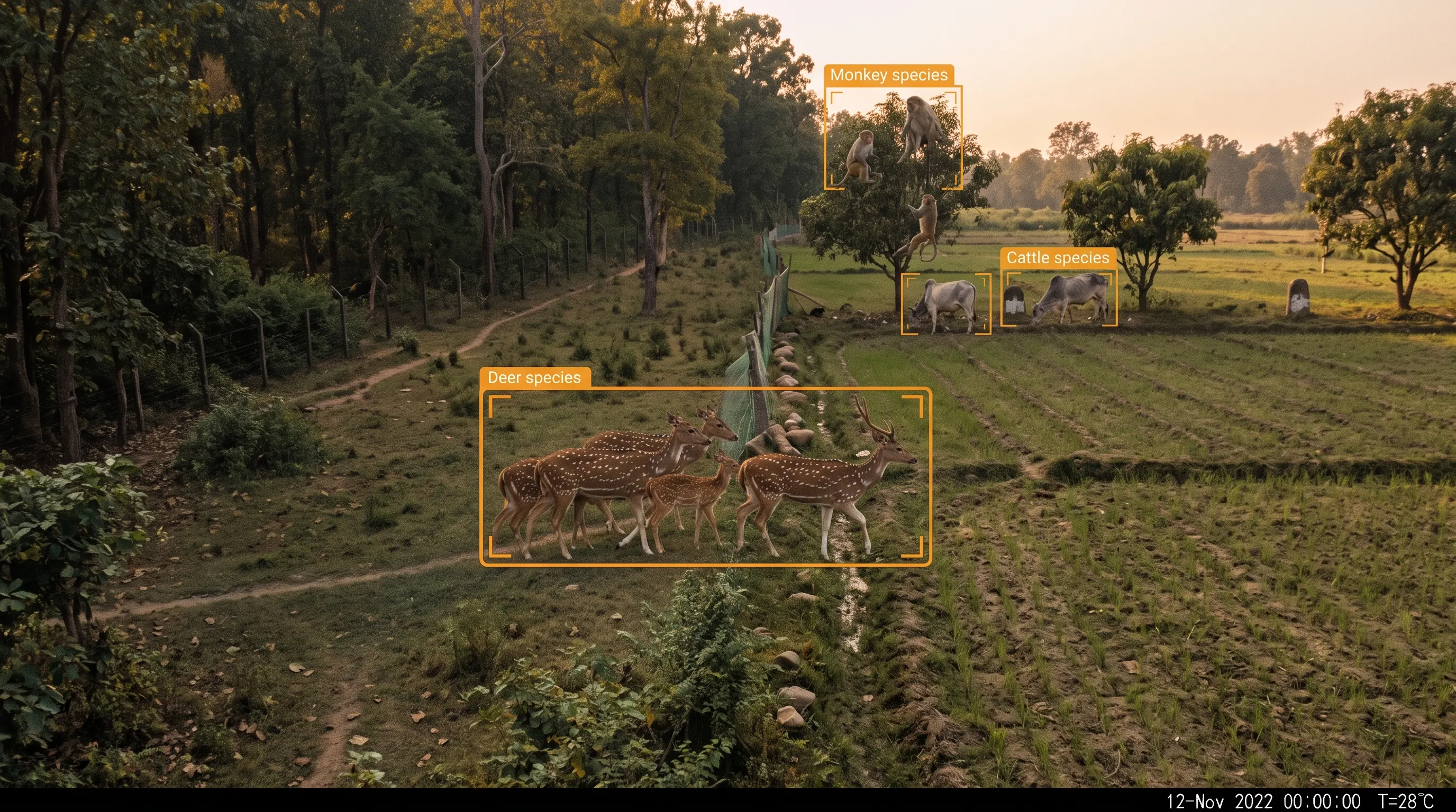 Custom wildlife detection models built for a specific species or site on existing cameras